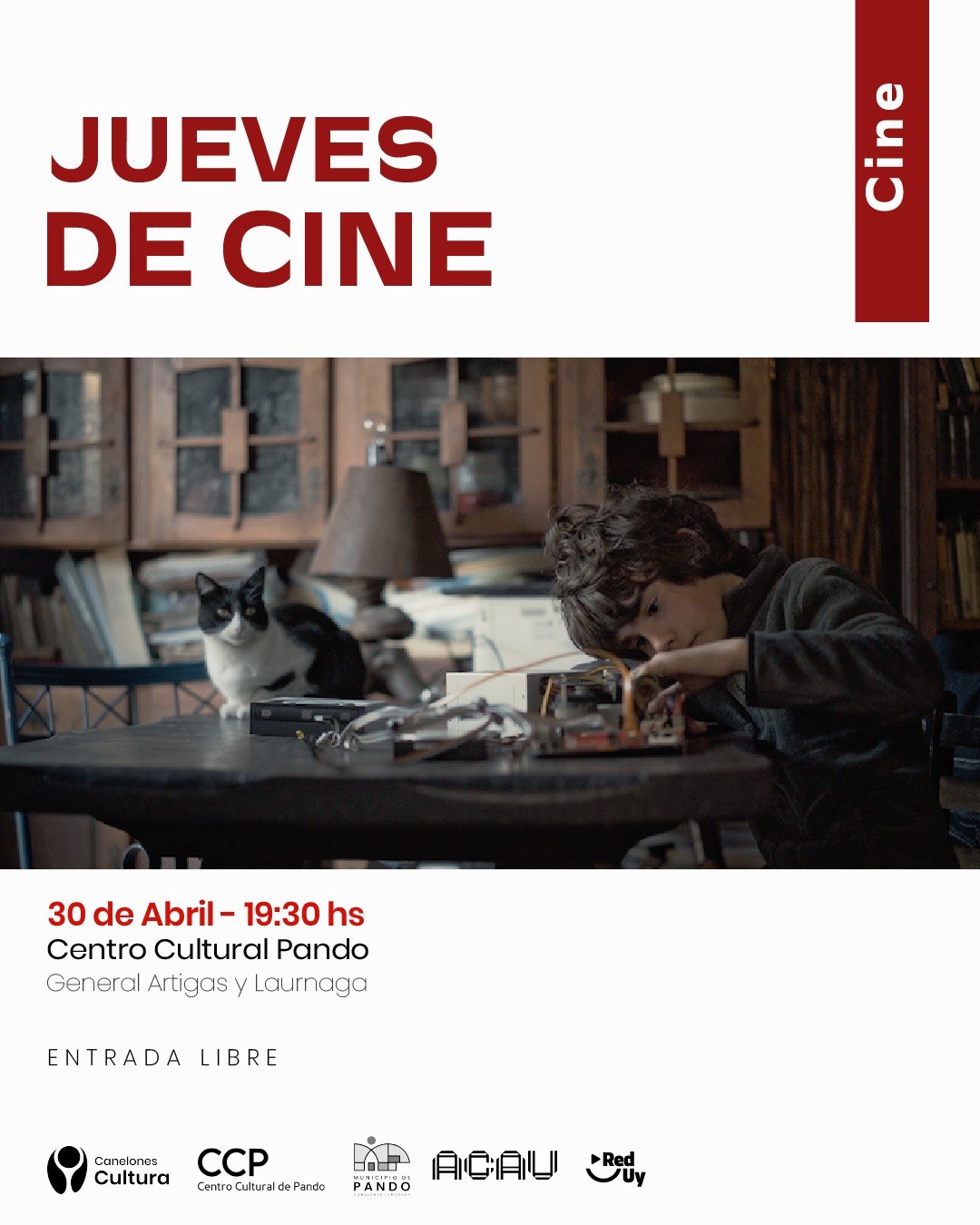 Texto descriptivo de la imagen