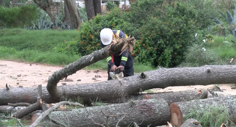 Texto descriptivo de la imagen