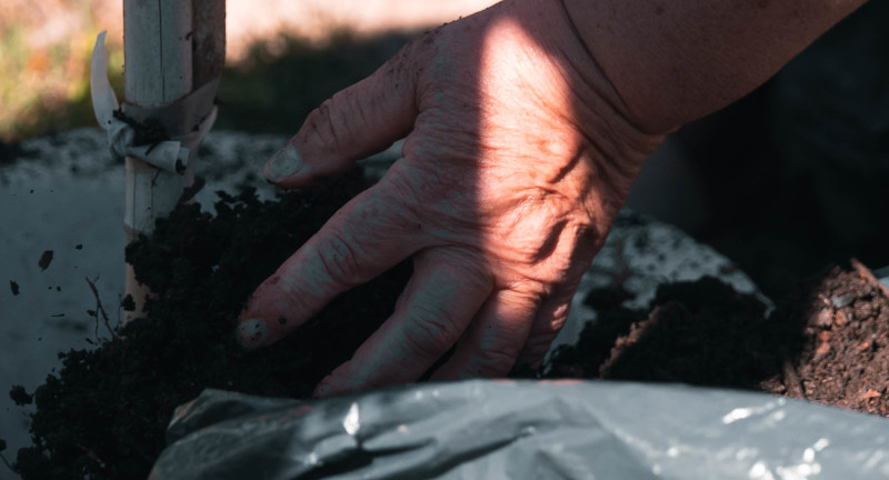 Texto descriptivo de la imagen