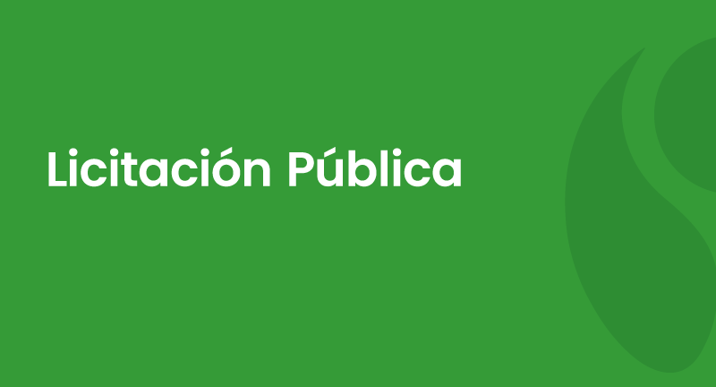 Texto descriptivo de la imagen