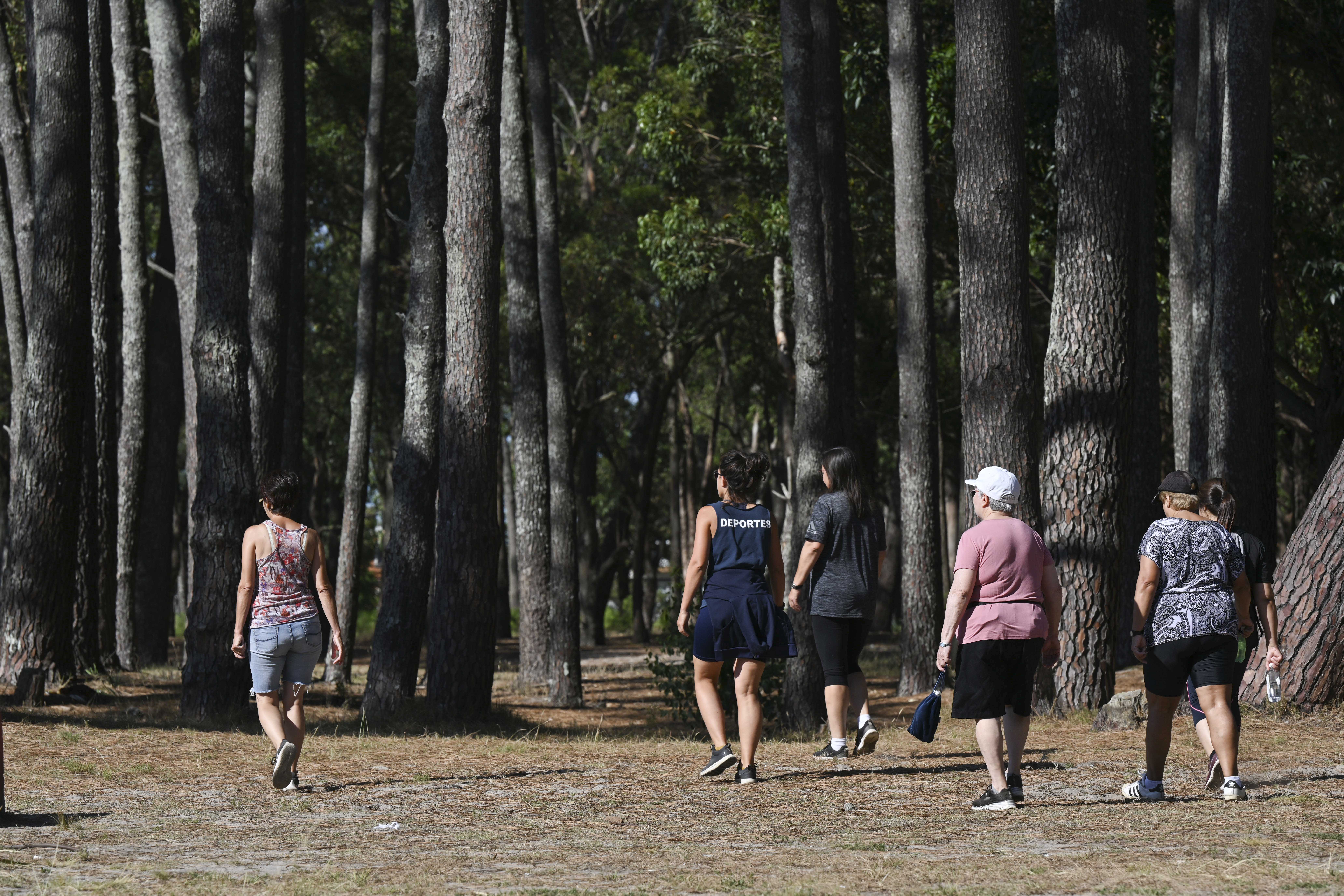 Iniciaron las caminatas de Terapia en el bosque en el parque Roosevelt