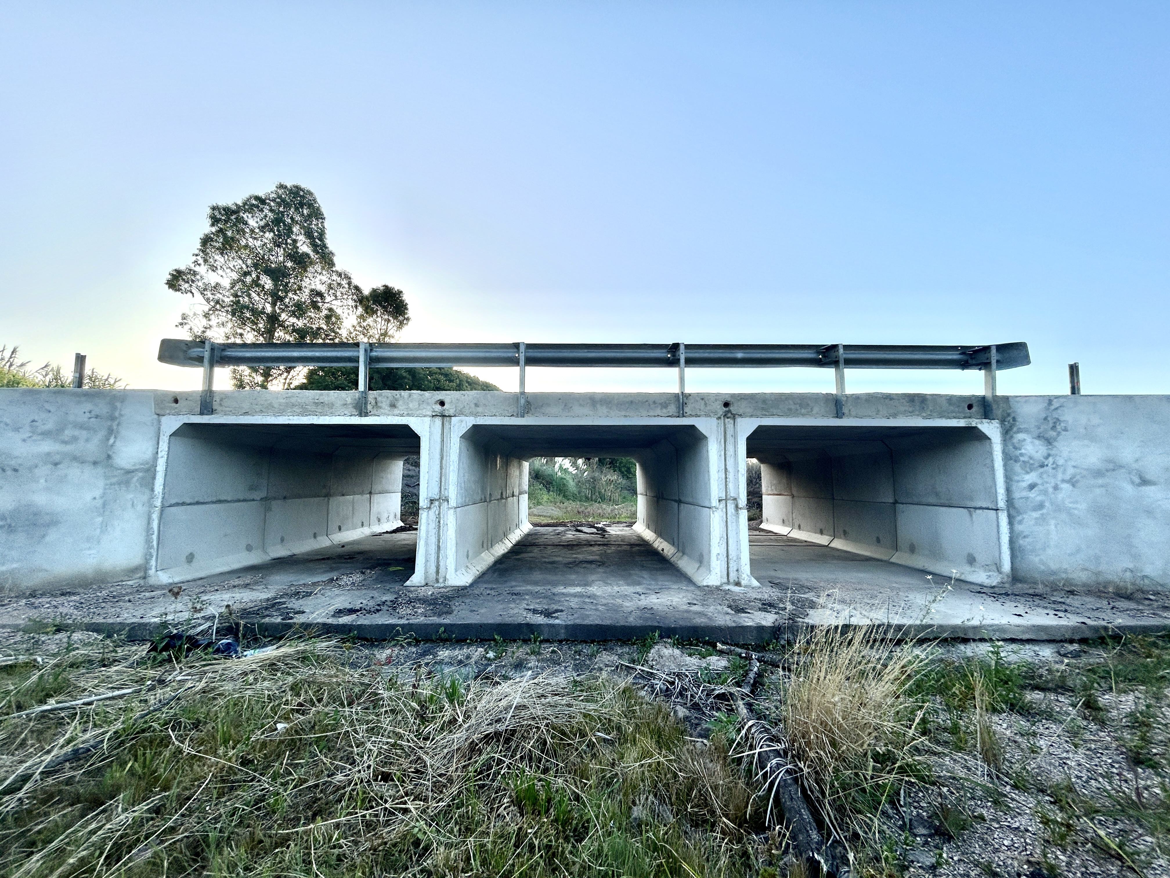 Inauguración de obra de pavimentación en Camino Paso del Medio