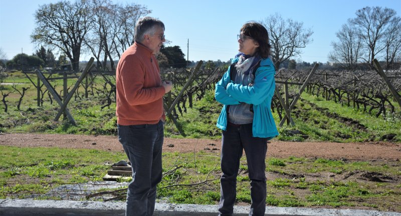 Avanzan las obras de la nueva sede del Museo de la Uva y el Vino