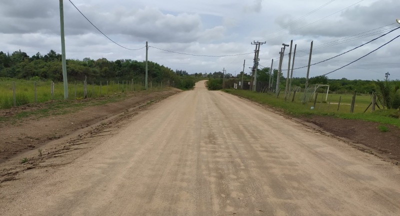 Dovela en camino Paso del Medio