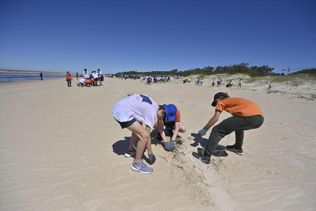 Se realizó una jornada de limpieza de playas en Paso Carrasco