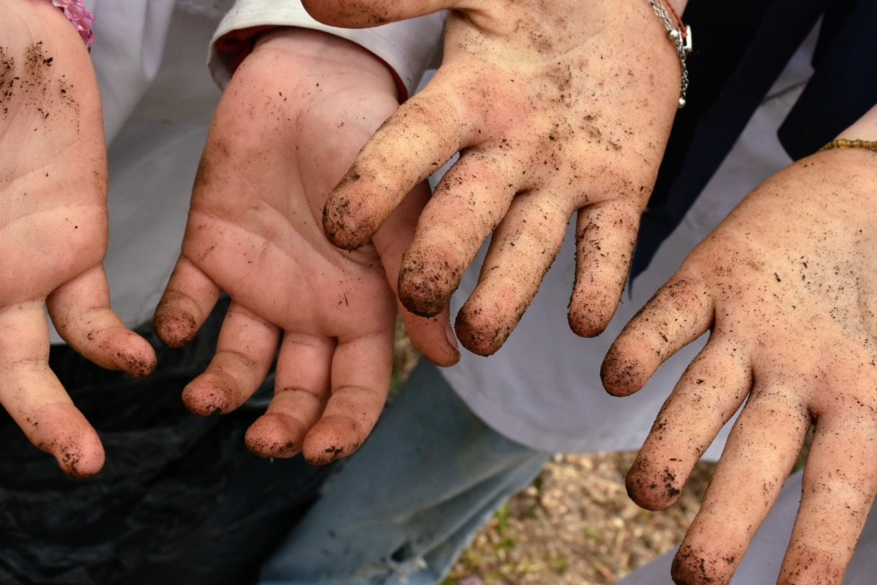 niños y niñas participaron en la decimosegunda plantación del poryecto canelón