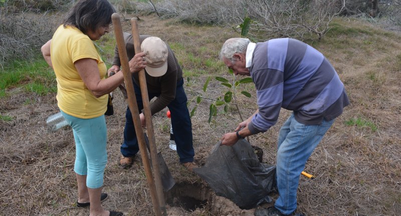 Vecinos y vecinas de Santa Ana participaron en plan de forestación de  árboles nativos | Intendencia de Canelones