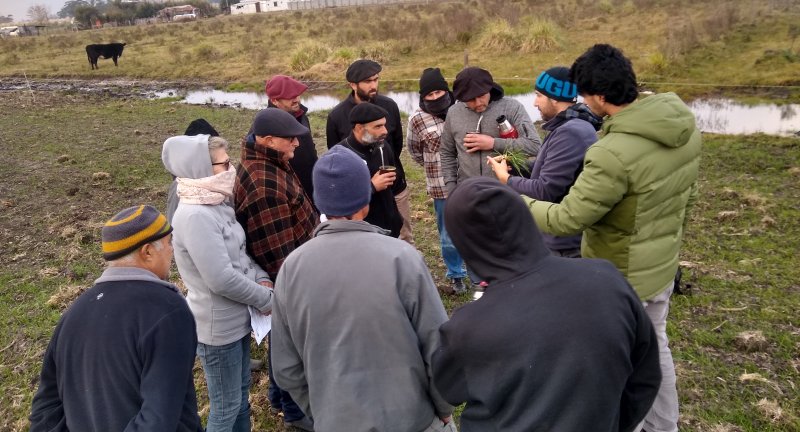 Canelones asiste a la producción ganadera local | Intendencia de Canelones