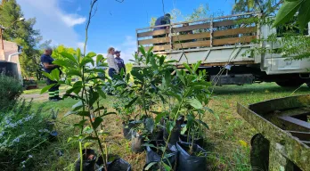 Imagen Intendencia de Canelones entrega árboles nativos a productores de la cuenca del río Santa Lucía