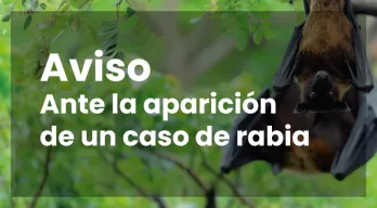 agregar descripción de la imagen