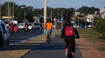 agregar descripción de la imagen