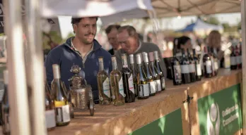 agregar descripción de la imagen