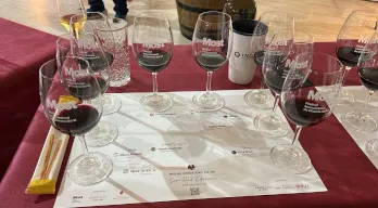 agregar descripción de la imagen