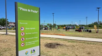 agregar descripción de la imagen