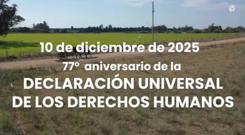 agregar descripción de la imagen