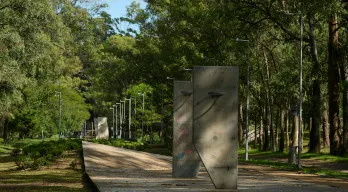 agregar descripción de la imagen