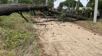 agregar descripción de la imagen