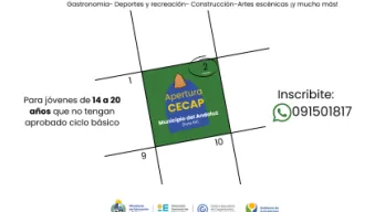 agregar descripción de la imagen