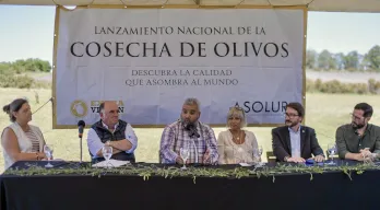 agregar descripción de la imagen