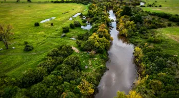agregar descripción de la imagen