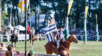 agregar descripción de la imagen