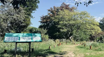 agregar descripción de la imagen