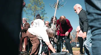 agregar descripción de la imagen