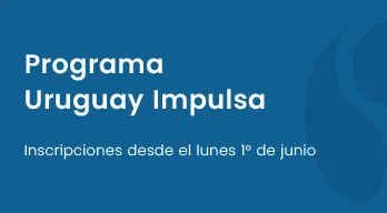 agregar descripción de la imagen