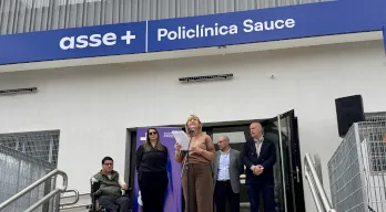 agregar descripción de la imagen
