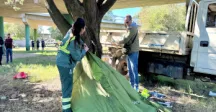 Intendencia comenzó a implementar dispositivo de Contralor Urbano en Atlántida 