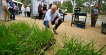 Intendente agachado viendo plantas