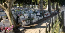 lápidas en cementerio
