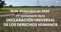 77 aniversario Día de los derechos humanos 