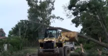 arboles y maquinaria 