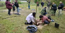 Personas plantando 