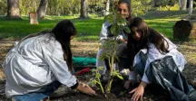 Se sumaron 32 árboles nativos al parque Artigas de Pando como parte de un ambicioso plan de plantaciones