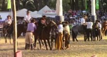 La Criolla del Parque Roosevelt tuvo su 42ª edición