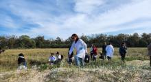 Clase abierta de programa educación ambiental en los cangrejales de Jaureguiberry 